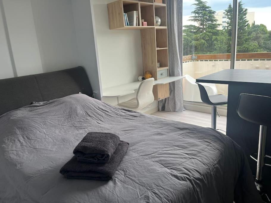 Le Studio - Parking & Balcon Tuluza Zewnętrze zdjęcie